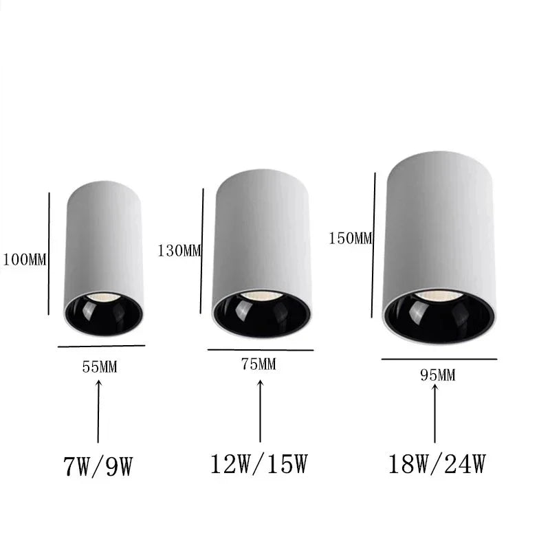 Brytuna Black & White Surface Mounted Downlight