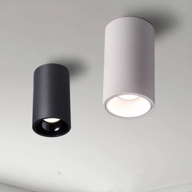 Brytuna Black & White Surface Mounted Downlight