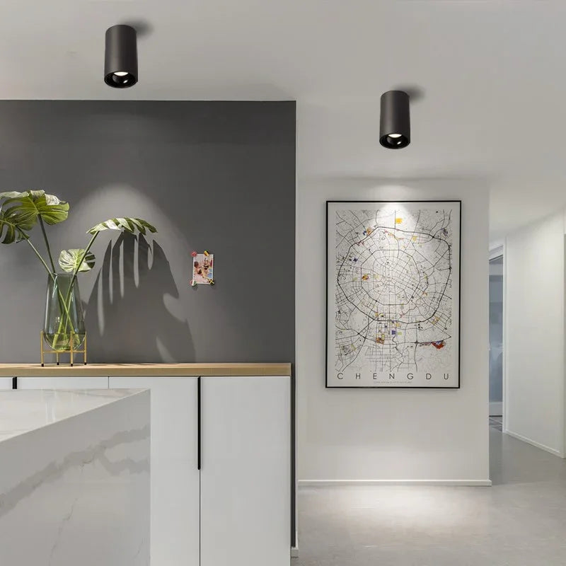 Brytuna Black & White Surface Mounted Downlight