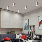 Brytuna Black & White Surface Mounted Downlight