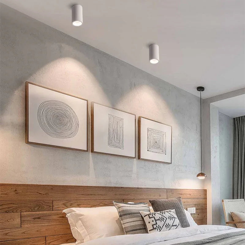 Brytuna Black & White Surface Mounted Downlight