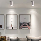 Brytuna Black & White Surface Mounted Downlight
