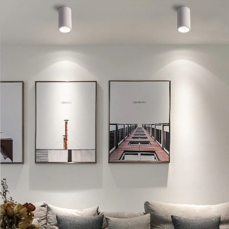 Brytuna Black & White Surface Mounted Downlight