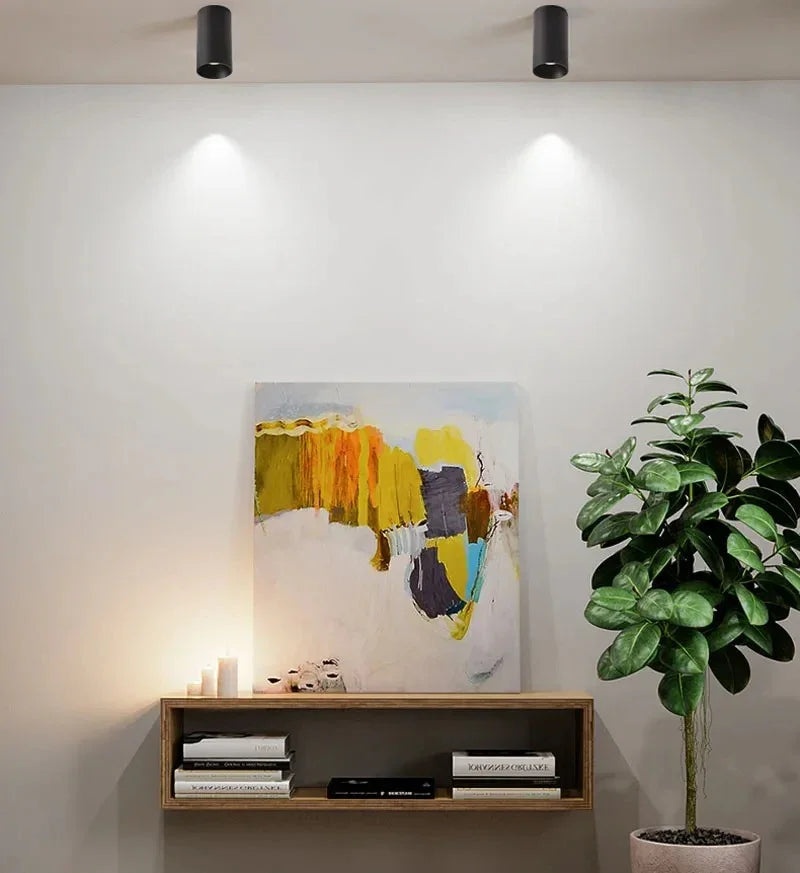 Brytuna Black & White Surface Mounted Downlight