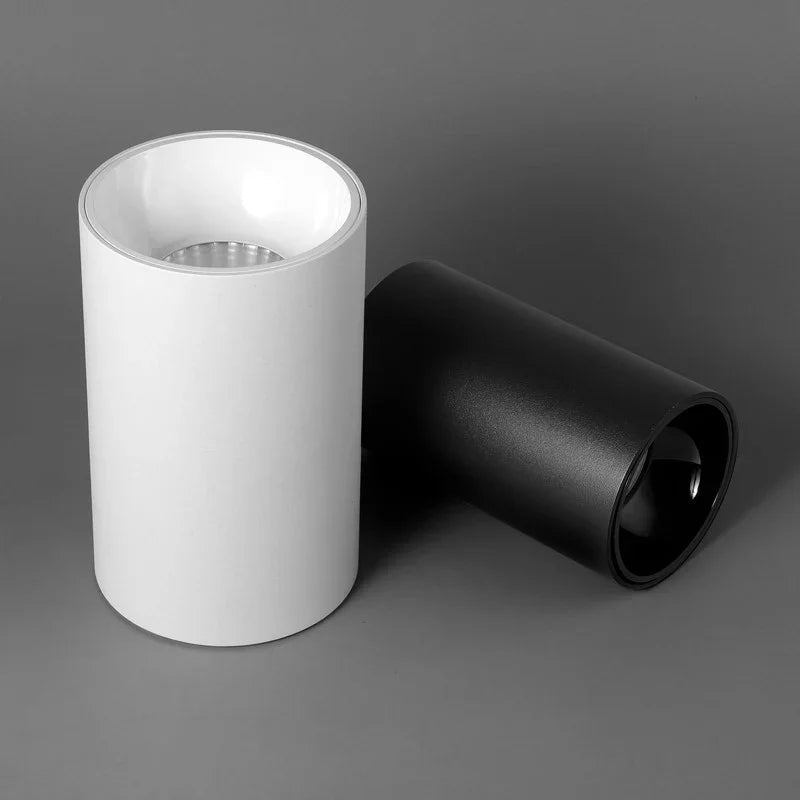 Brytuna Black & White Surface Mounted Downlight