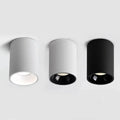 Brytuna Black & White Surface Mounted Downlight