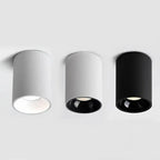 Brytuna Black & White Surface Mounted Downlight