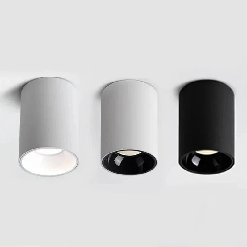 Brytuna Black & White Surface Mounted Downlight