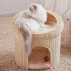 Cat Bed Model Owgc | High & Bury