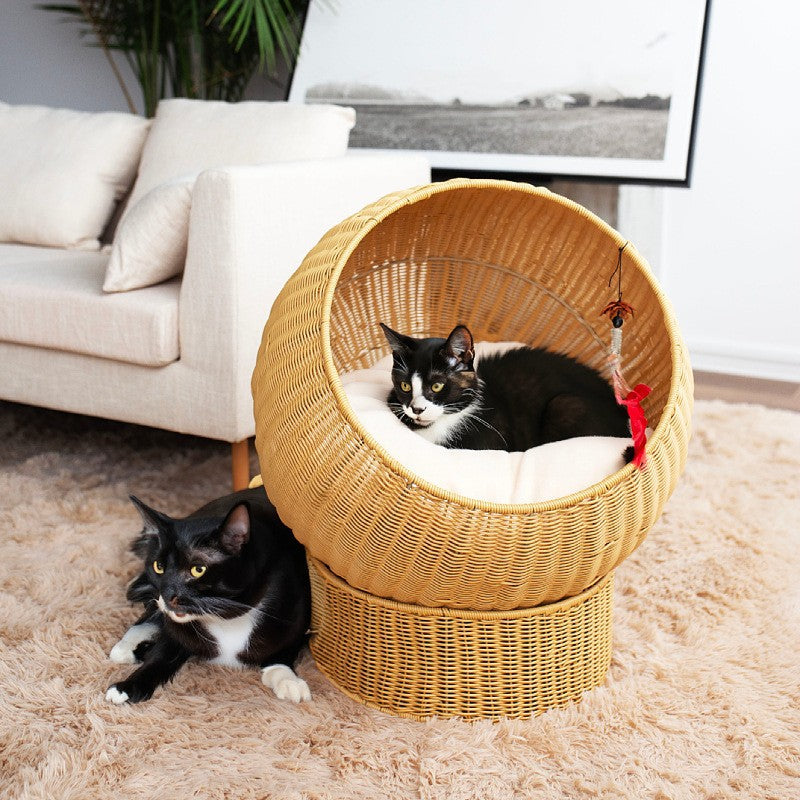 Cat Bed with Modern Design | High & Bury