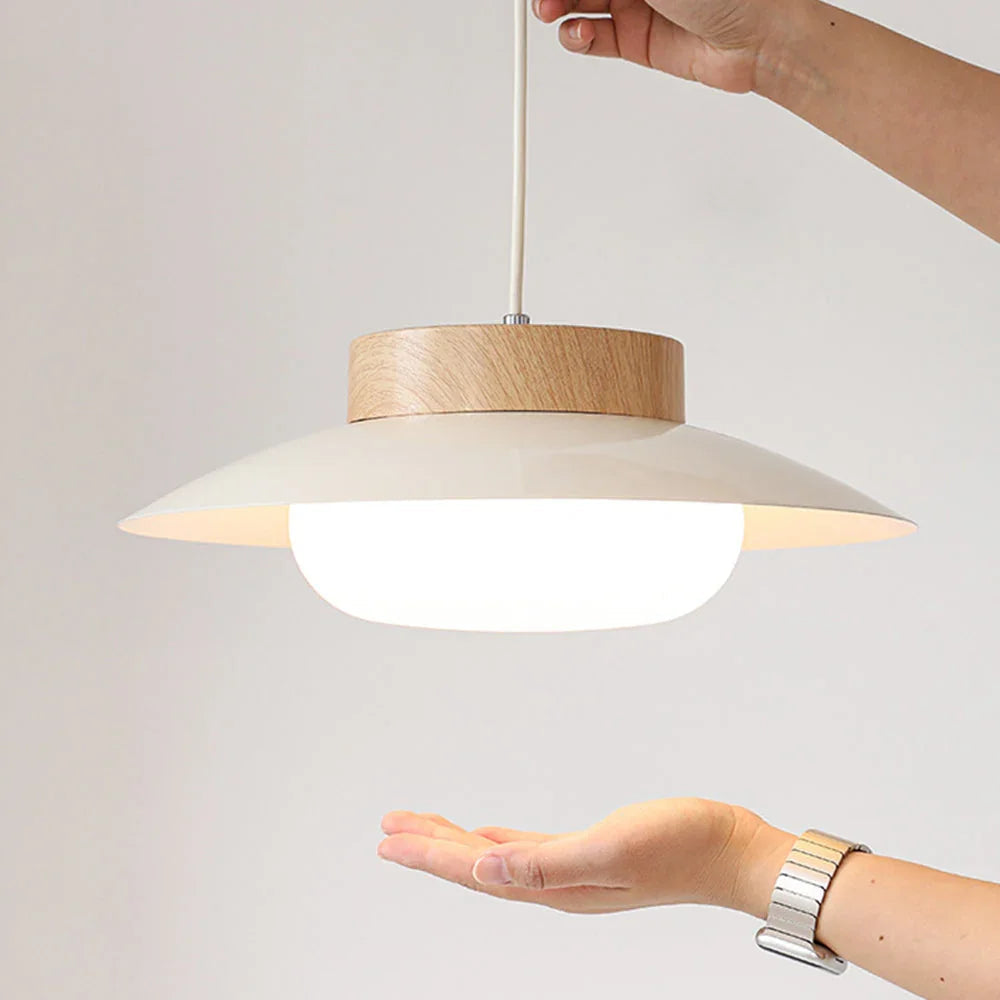 Cedarrow Hanging Lamp