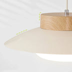 Cedarrow Hanging Lamp