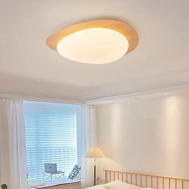 Celnynta Ceiling Light