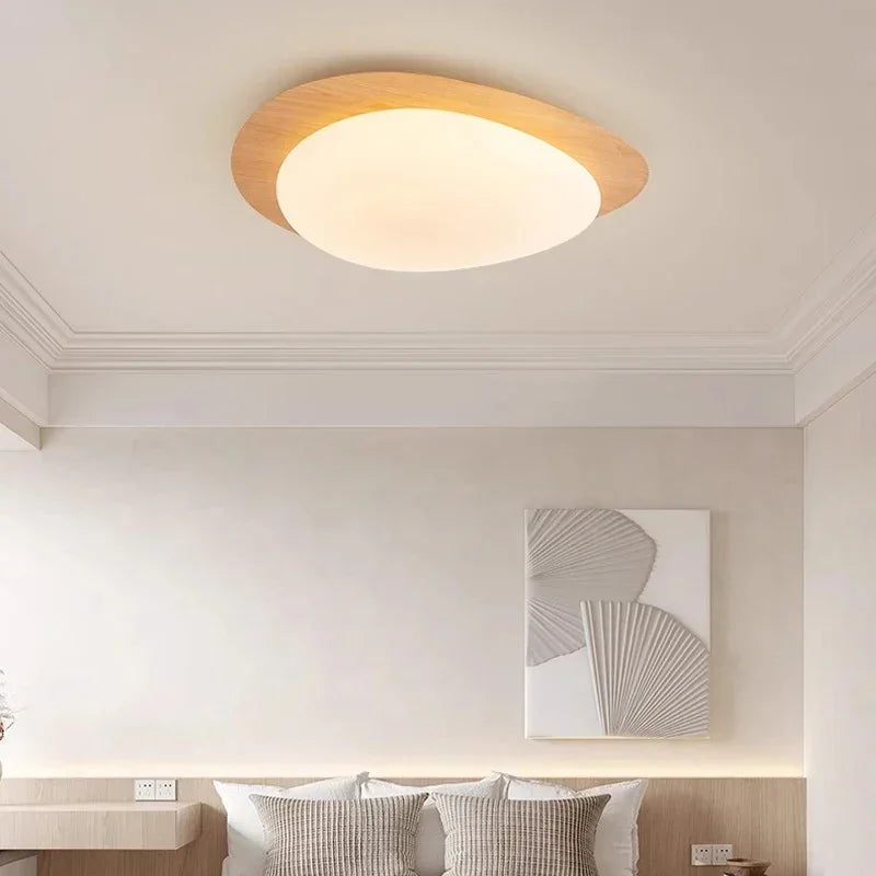 Celnynta Ceiling Light