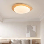 Celnynta Ceiling Light