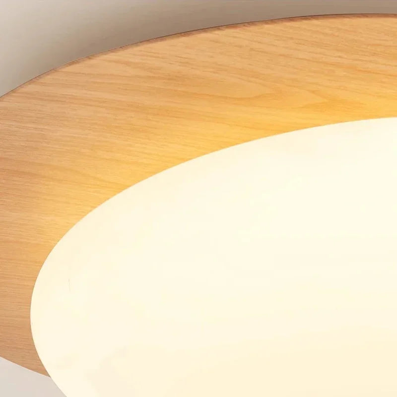 Celnynta Ceiling Light