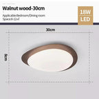 Celnynta Ceiling Light