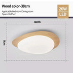 Celnynta Ceiling Light