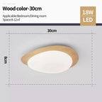 Celnynta Ceiling Light