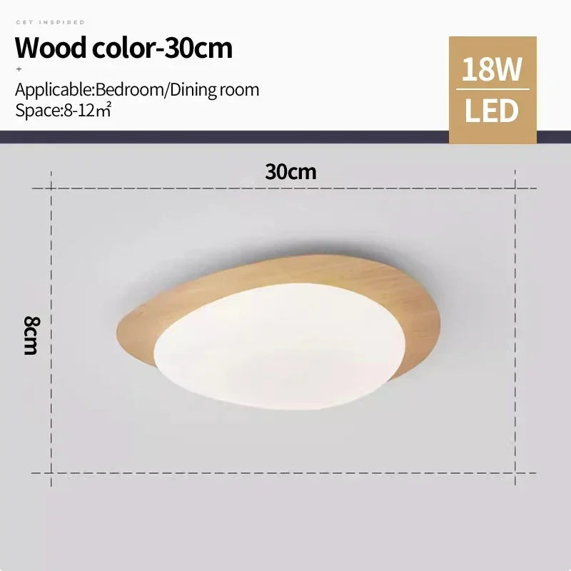 Celnynta Ceiling Light