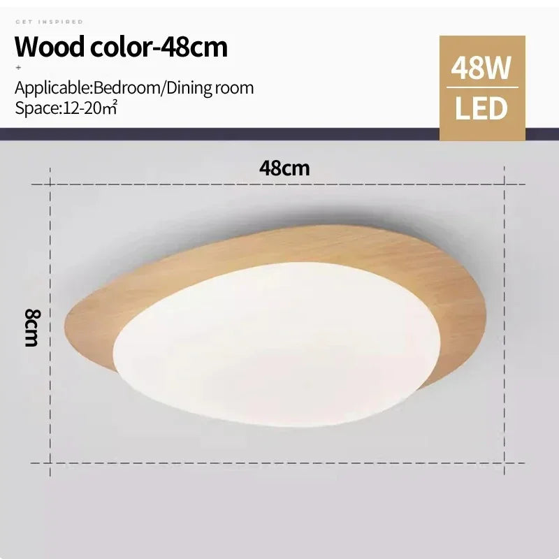 Celnynta Ceiling Light