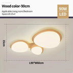 Celnynta Ceiling Light