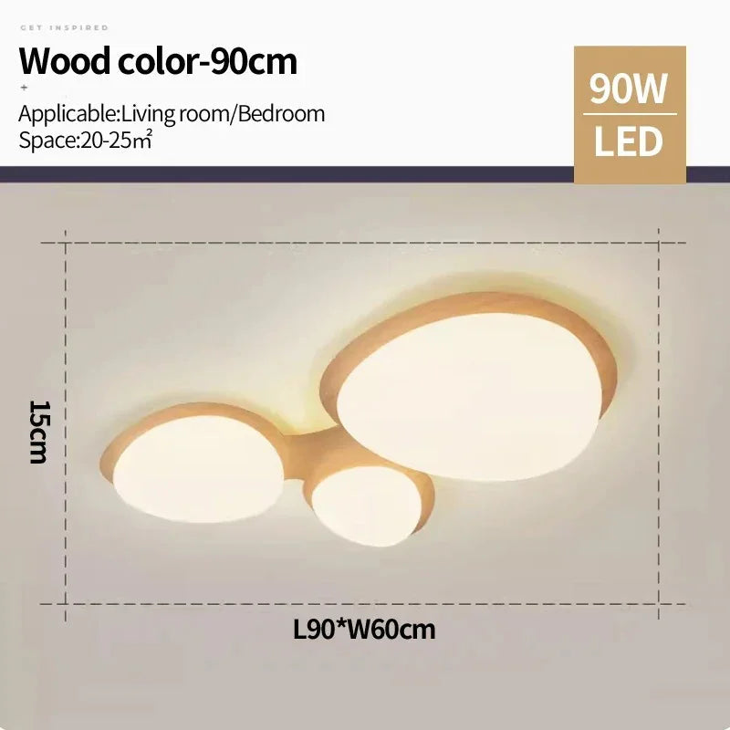 Celnynta Ceiling Light