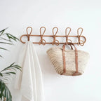 Celressa Wall Hooks