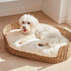 Cozy and Stylish Dog Bed made of Braided Material | High & Bury