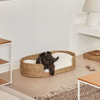 Cozy and Stylish Dog Bed made of Braided Material | High & Bury
