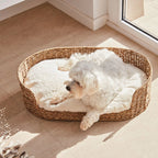 Cozy and Stylish Dog Bed made of Braided Material | High & Bury