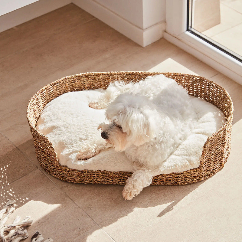 Cozy and Stylish Dog Bed made of Braided Material | High & Bury