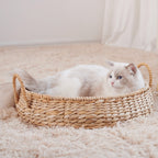 Cozy Cat Bed | High & Bury