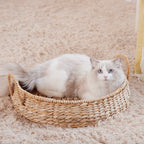 Cozy Cat Bed | High & Bury