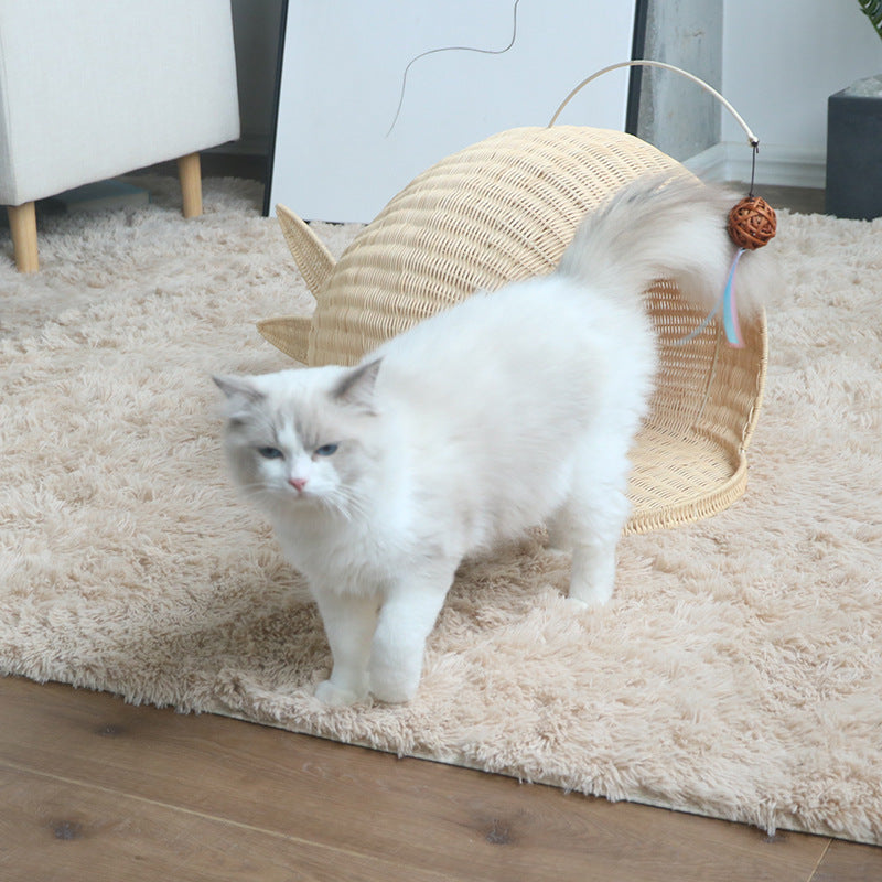 Creative Cat House | High & Bury