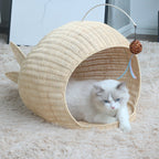 Creative Cat House | High & Bury
