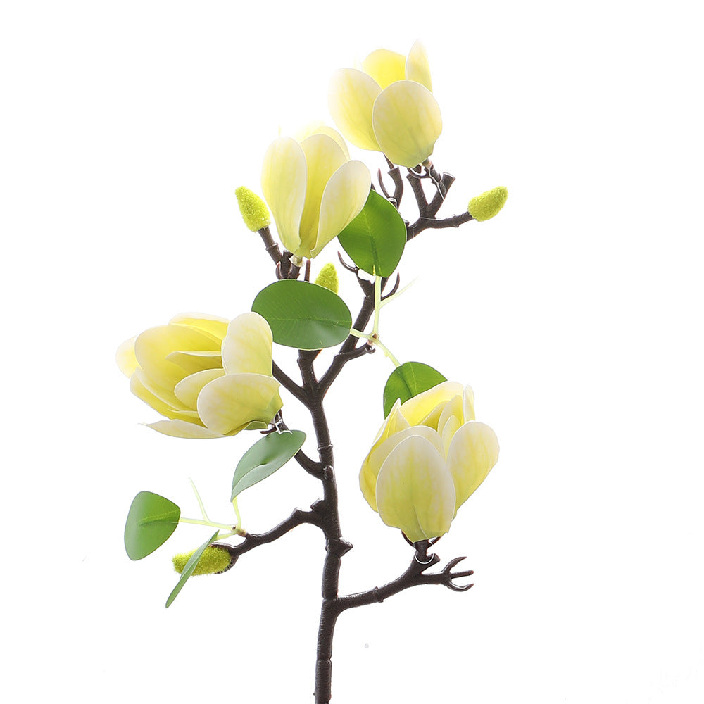 Decoration Item Magnolia Branch | High & Bury