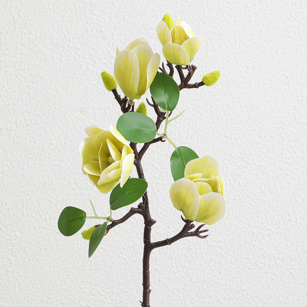 Decoration Item Magnolia Branch | High & Bury