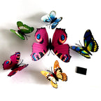 Decorative 3D Butterflies | High & Bury