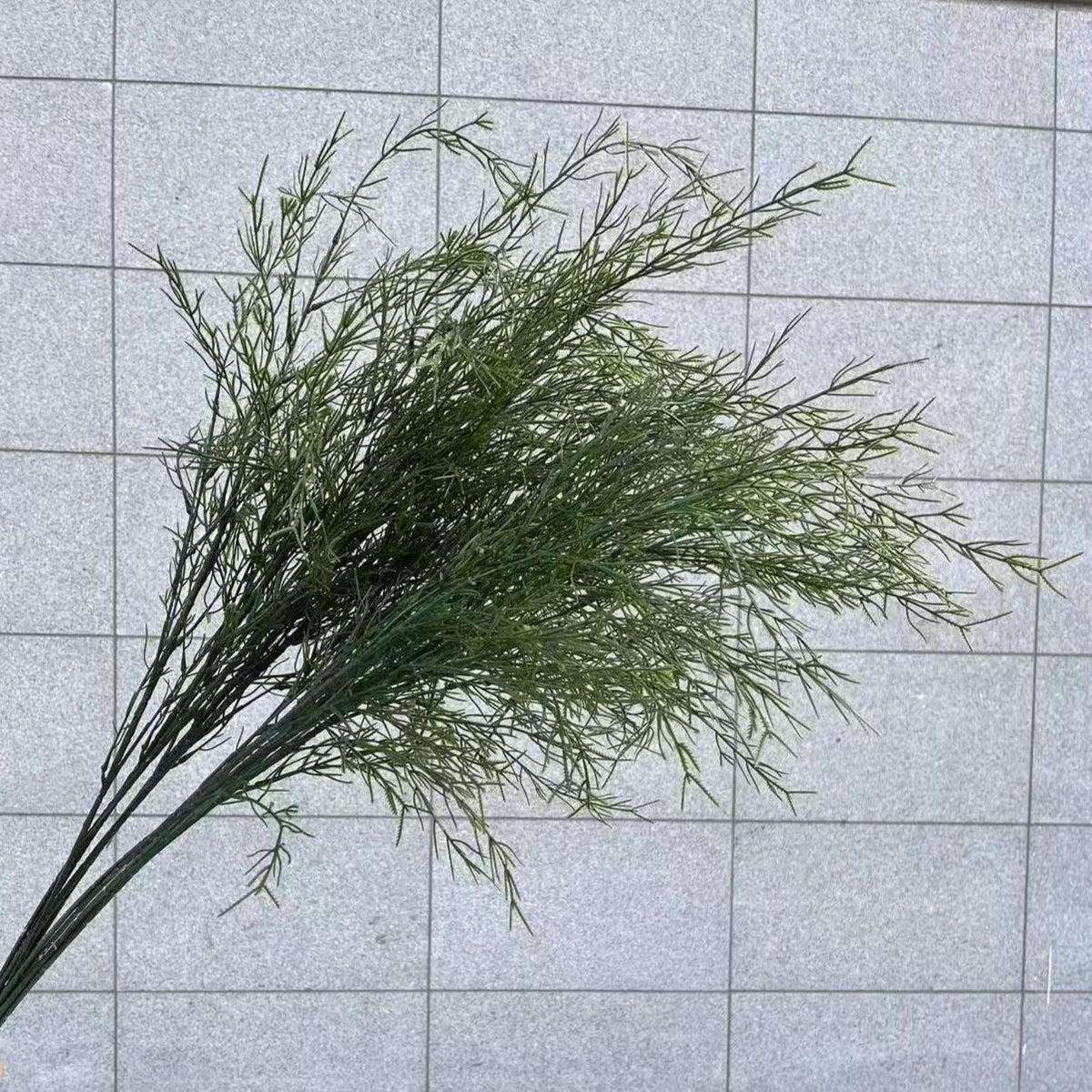 Decorative Art Branch with Fine Leaves | High & Bury