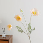 Decorative Art Poppy Bouquet | High & Bury