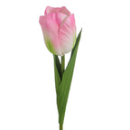 Decorative Art Tulip | High & Bury