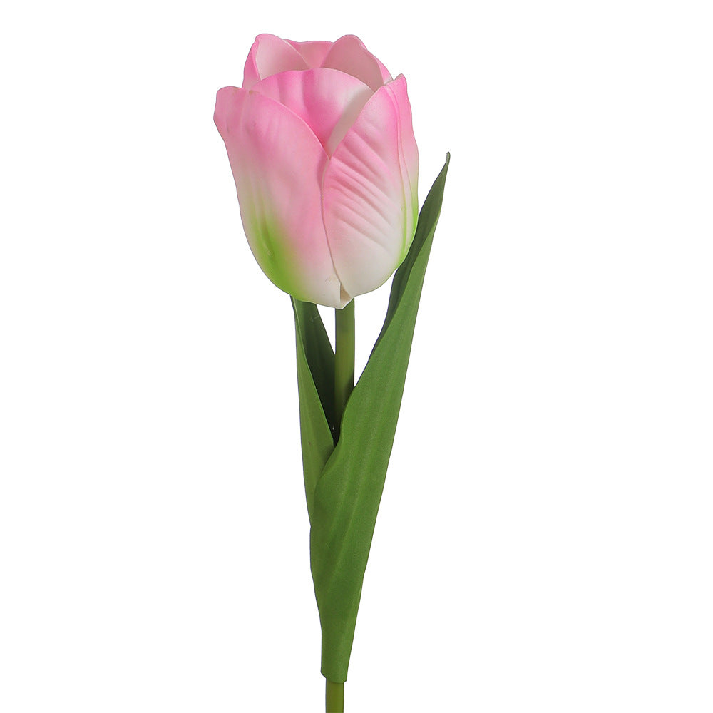 Decorative Art Tulip | High & Bury