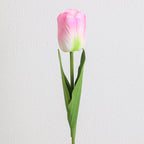 Decorative Art Tulip | High & Bury