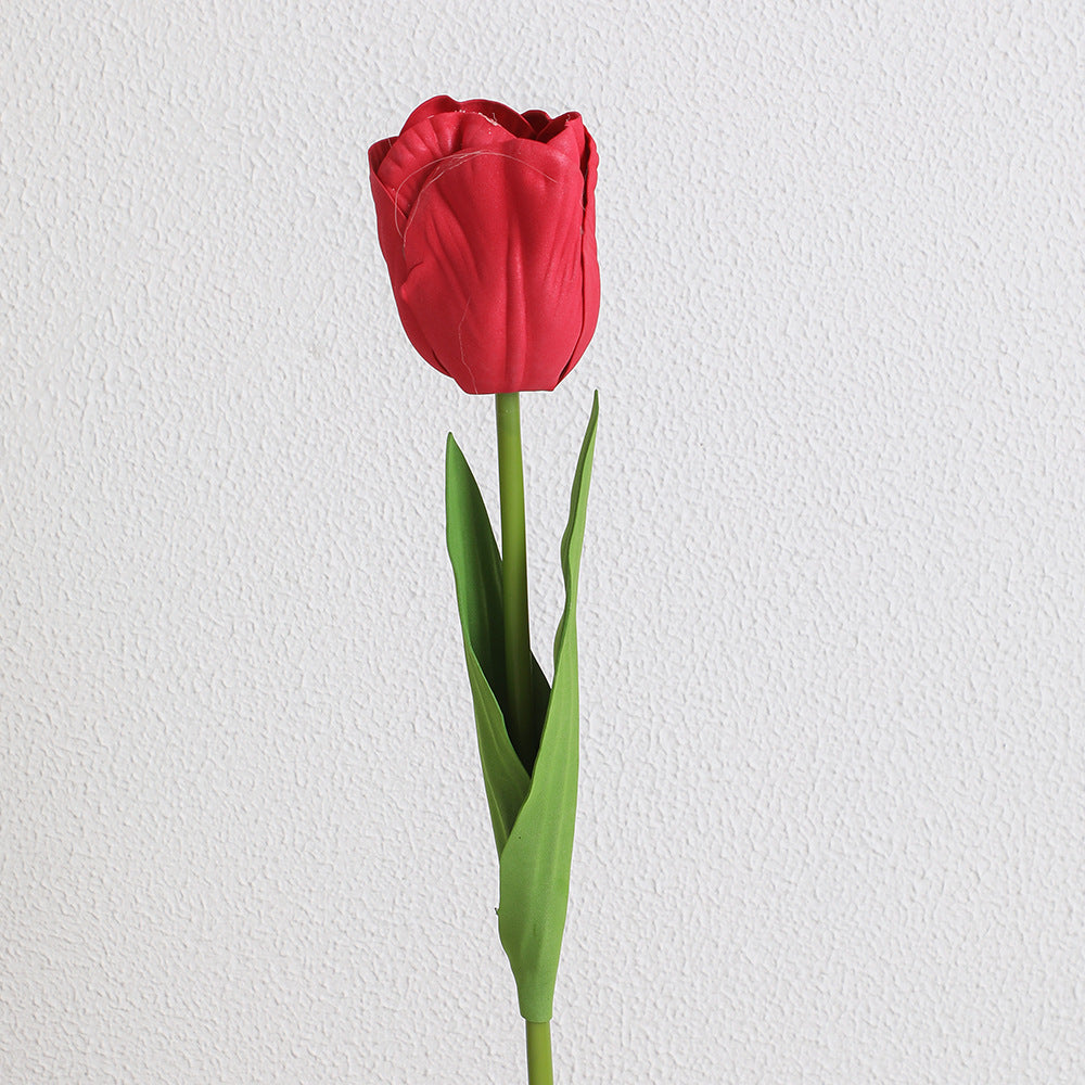 Decorative Art Tulip | High & Bury