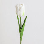 Decorative Art Tulip | High & Bury