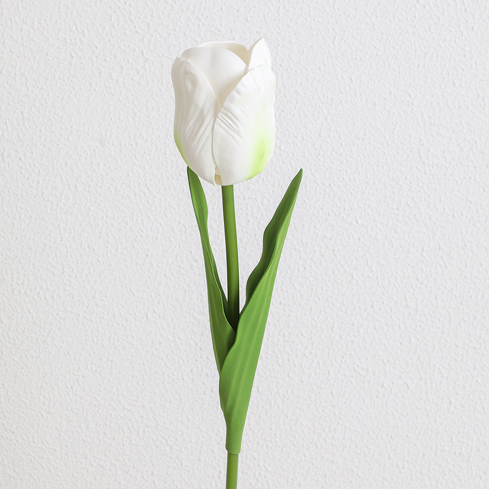 Decorative Art Tulip | High & Bury