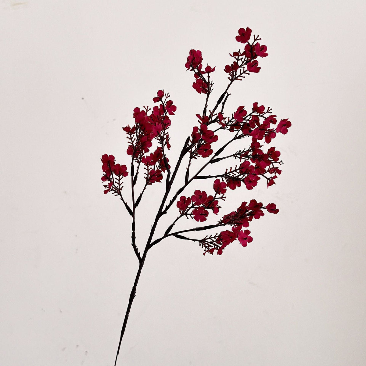Decorative Artificial Flower Branch White Orange | High & Bury