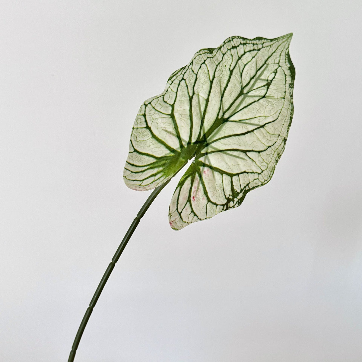 Decorative Artificial Plant Branch | High & Bury