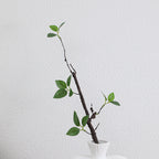 Decorative Artificial Tree Branch with Realistic Leaves | High & Bury